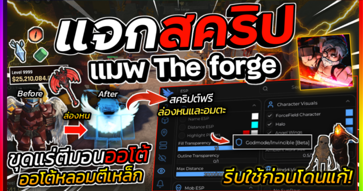 The Forge SCRIPT – Airflow HUB