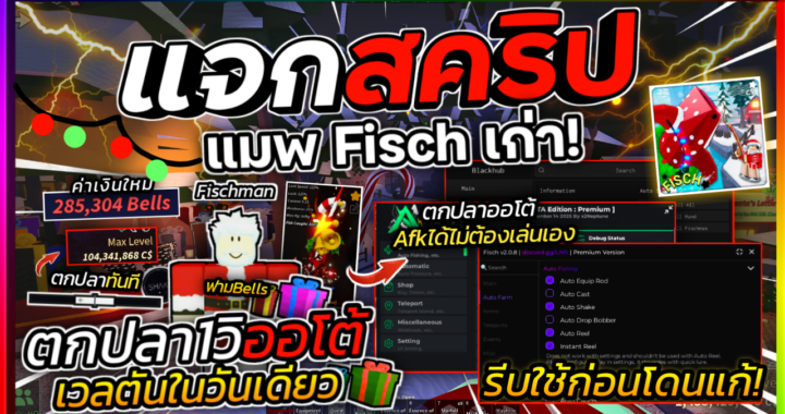 Fisch SCRIPT – Black HUB