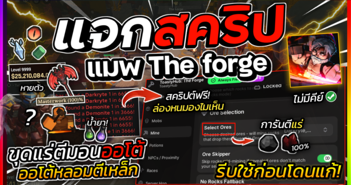 The forge SCRIPT – Toasty HUB