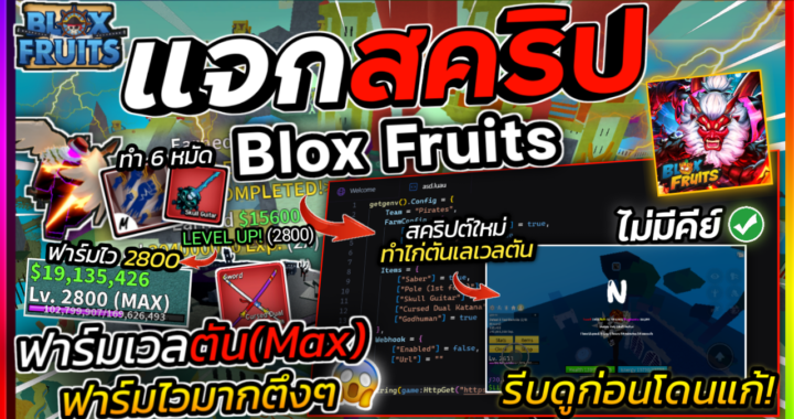 BloxFruits SCRIPT – Night HUB *ไก่ตัน*