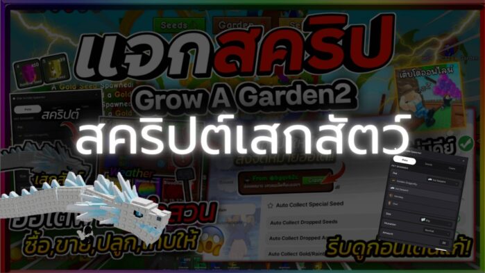 asdasdasd (4)